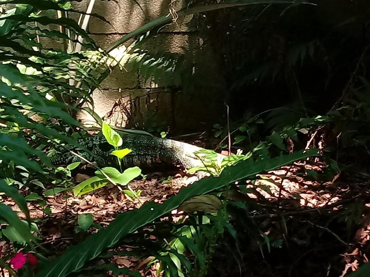 Casa Alquiler En Bombas Bombinhas Villa Eksteriør billede